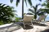 Coconut Village 